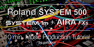 Gattobus SYS-500 Video